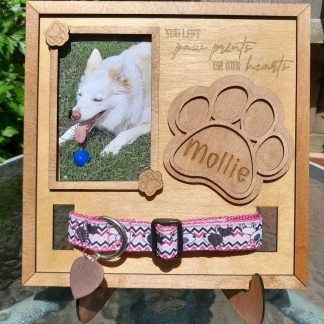 pet remembrance memorial frame