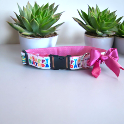 dog collar